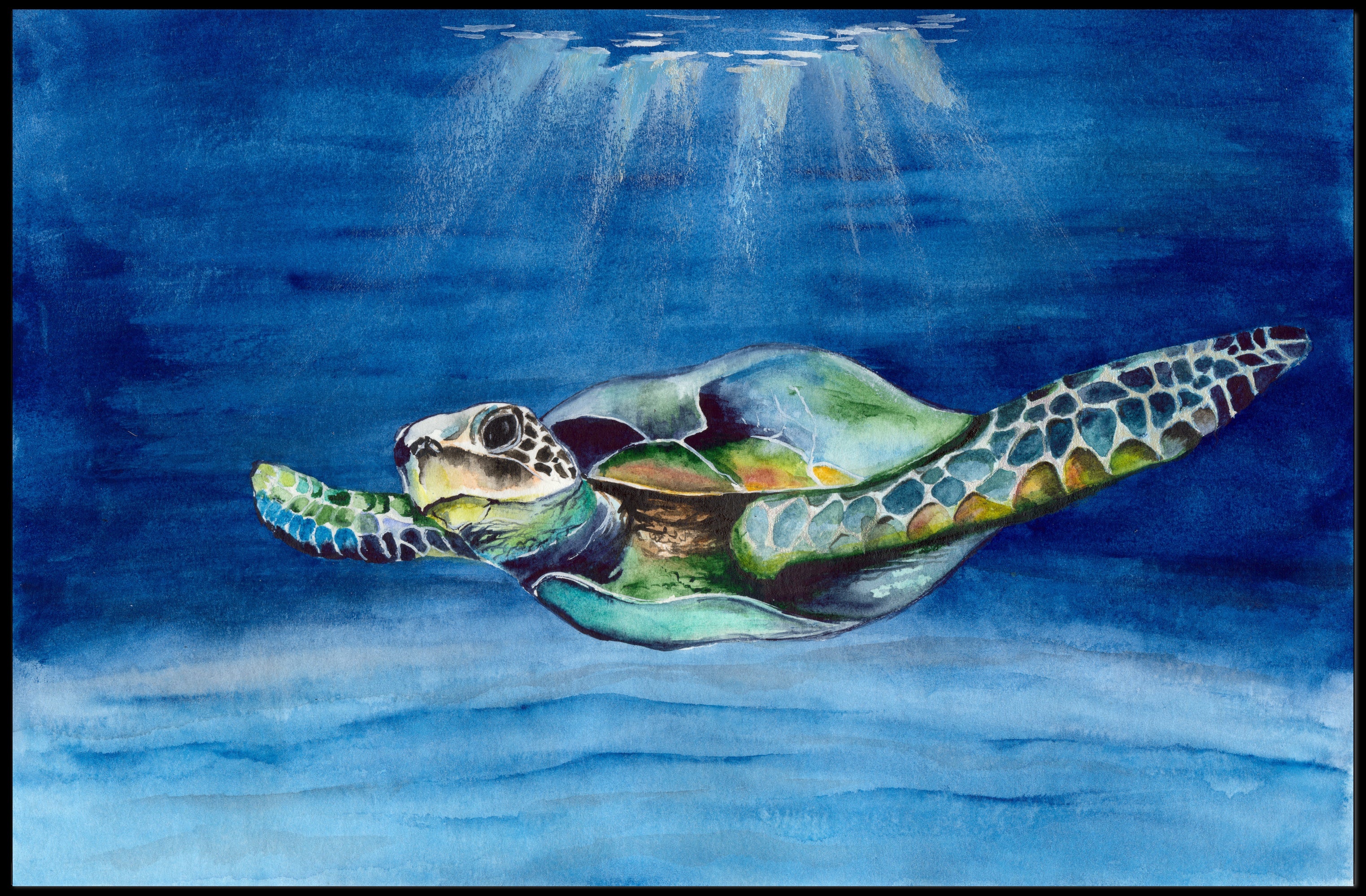 Sea Turtle Adventure - Artistic Animal Poster PosterGoat