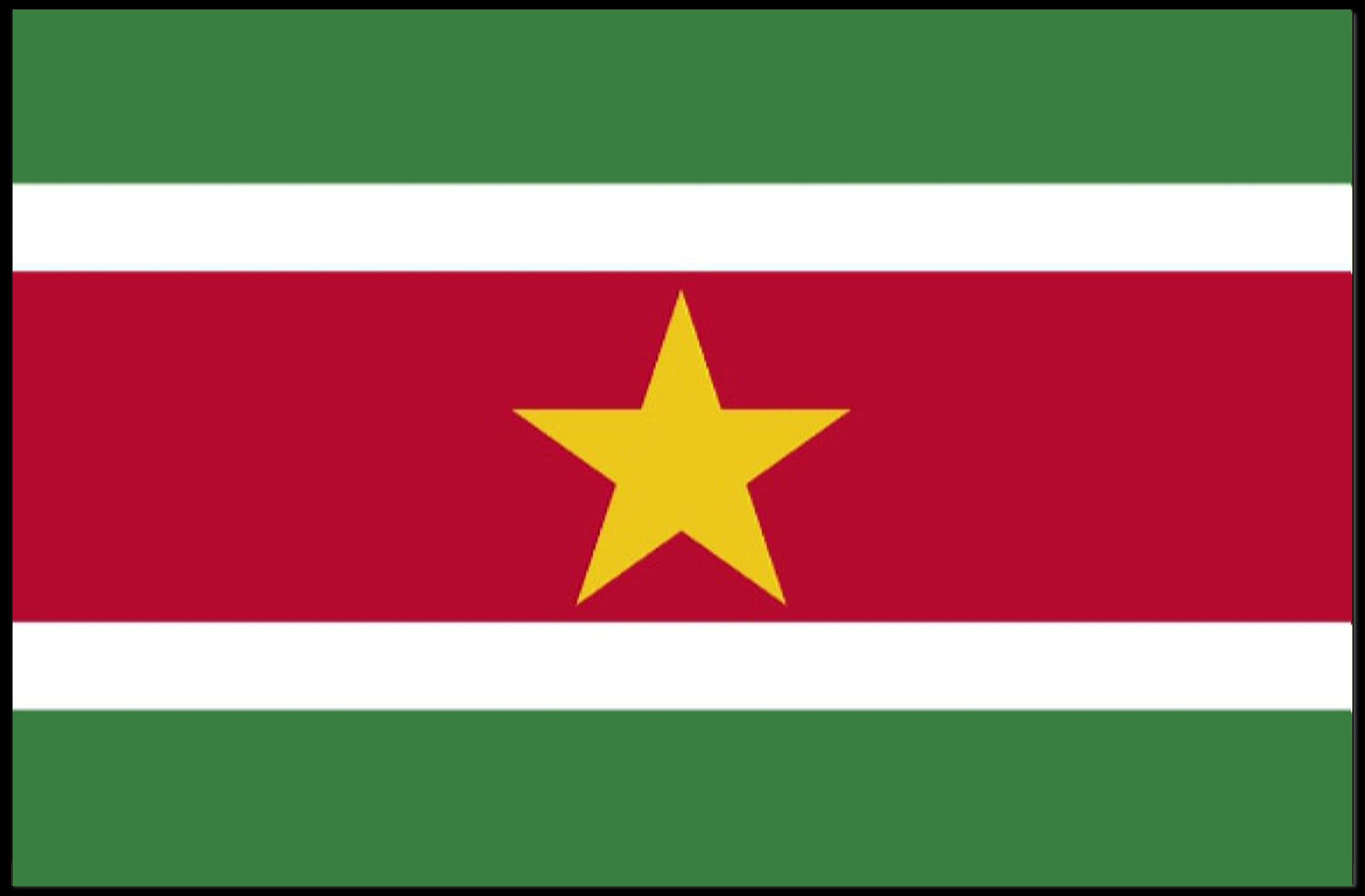 Suriname National Flag Patriotic Art Country Flag Poster PosterGoat