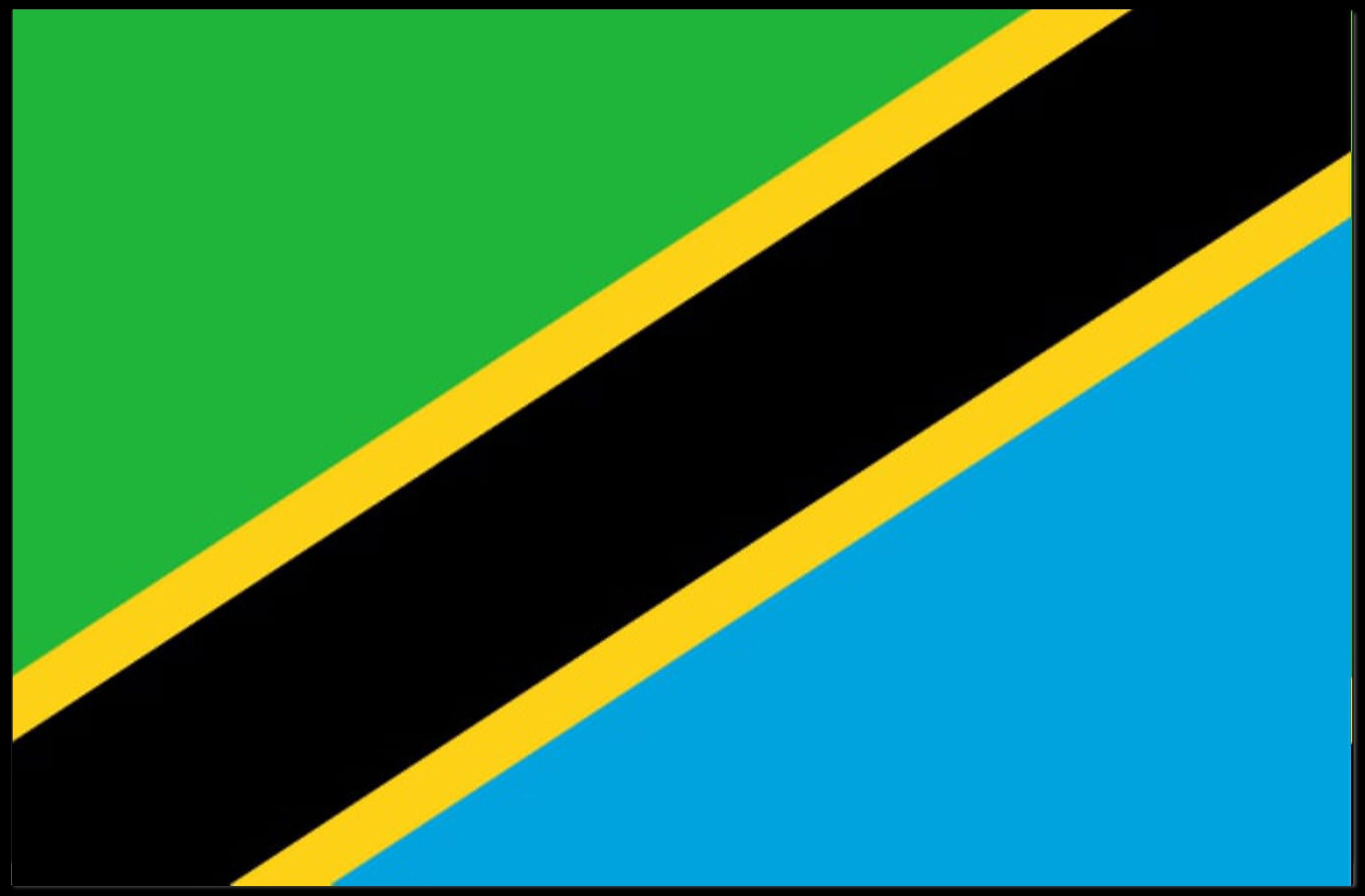 Tanzanian National Pride Minimalist Art Country Flag Poster PosterGoat