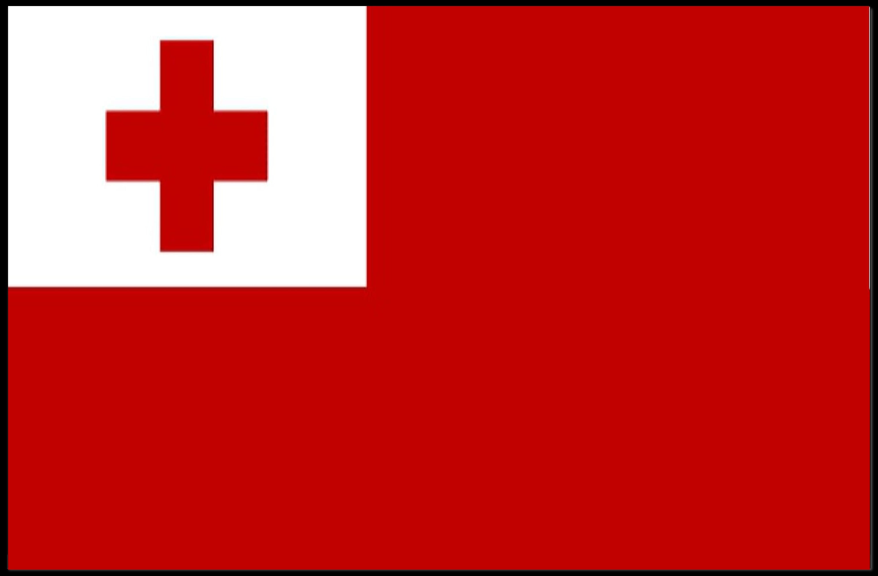 Tonga Flag Modern Minimalistic Country Flag Poster PosterGoat