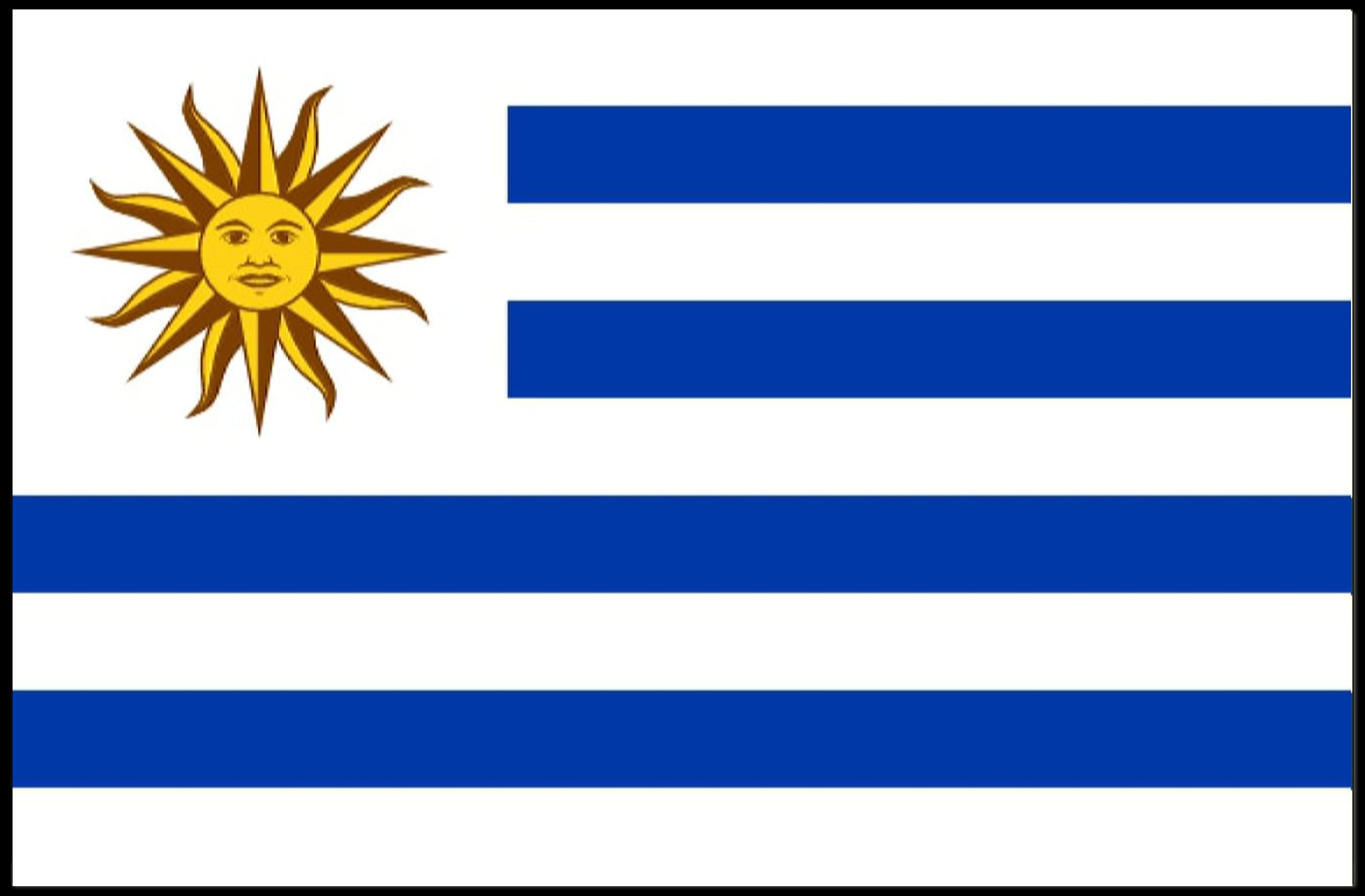 Uruguayan National Pride Symbolism Country Flag Poster PosterGoat