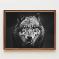 Wild Wolf Portrait in Majestic Animal Poster PosterGoat