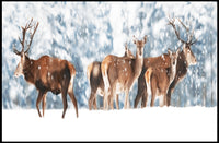 Winter Wildlife in Snowy Forest Scenery Animal Poster PosterGoat