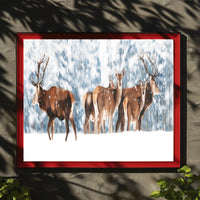 Winter Wildlife in Snowy Forest Scenery Animal Poster PosterGoat