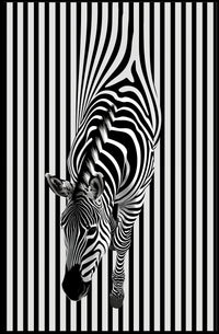 Zebra Optical Illusion Minimalist Art Abstract or Artistic Poster PosterGoat