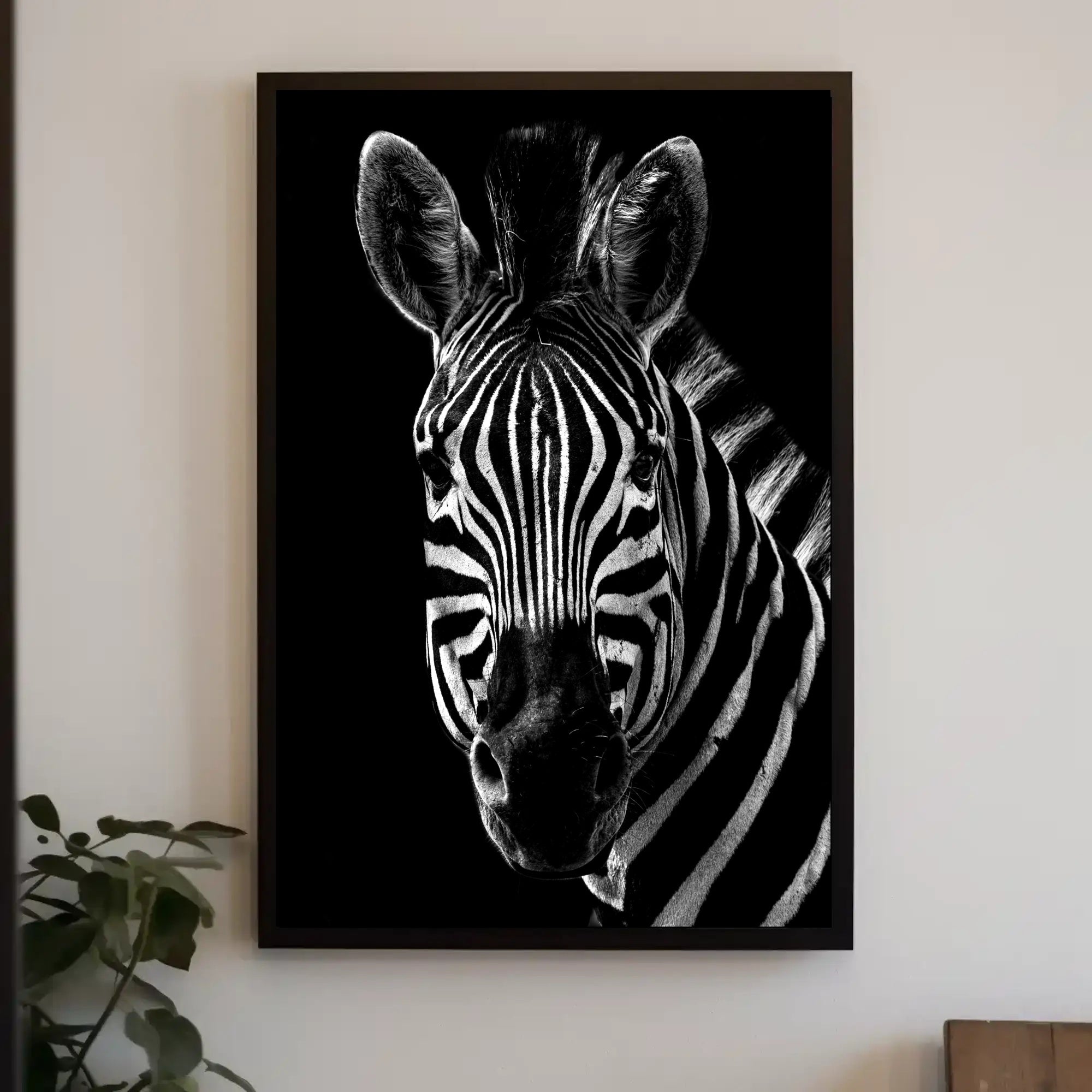 Zebra's Unique Stripes in Black and White Animal Poster PosterGoat