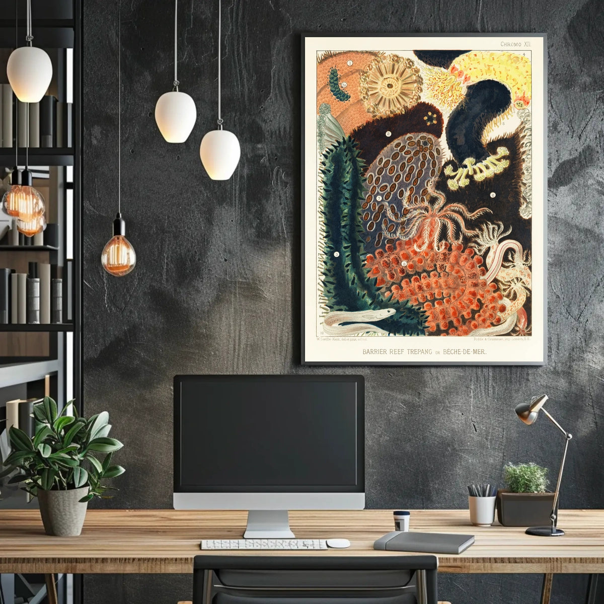 Barrier Reef Trepang Poster