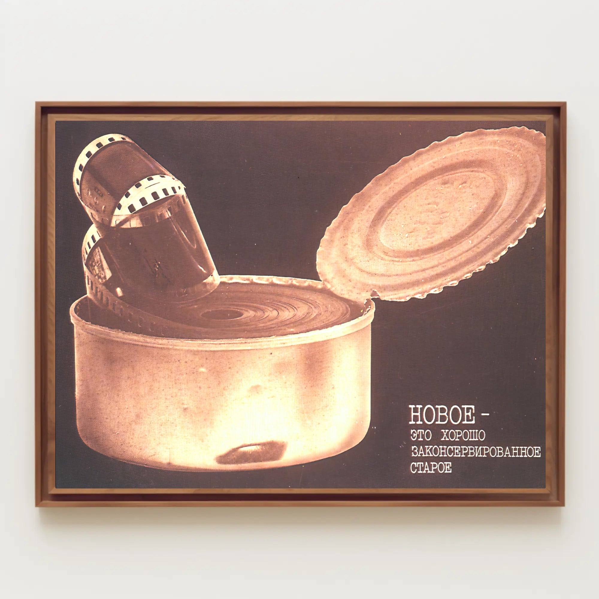 Preserved Memories Poster