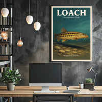 Loach Freshwater Fish Poster PosterGoat