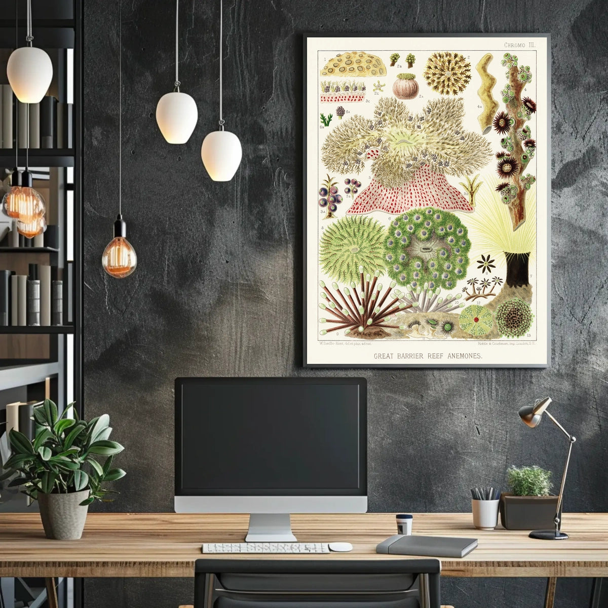 Great Barrier Reef Anemones Poster