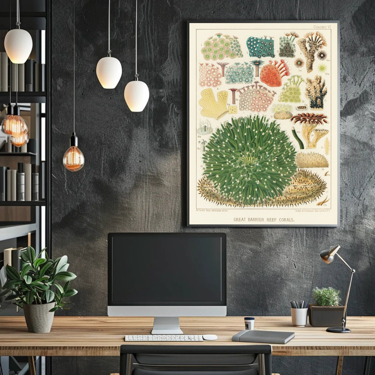 Great Barrier Reef Corals Poster
