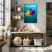 Royal Gramma A Jewel of the Reef Poster PosterGoat