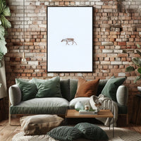 Solitary Reindeer In Snow Poster