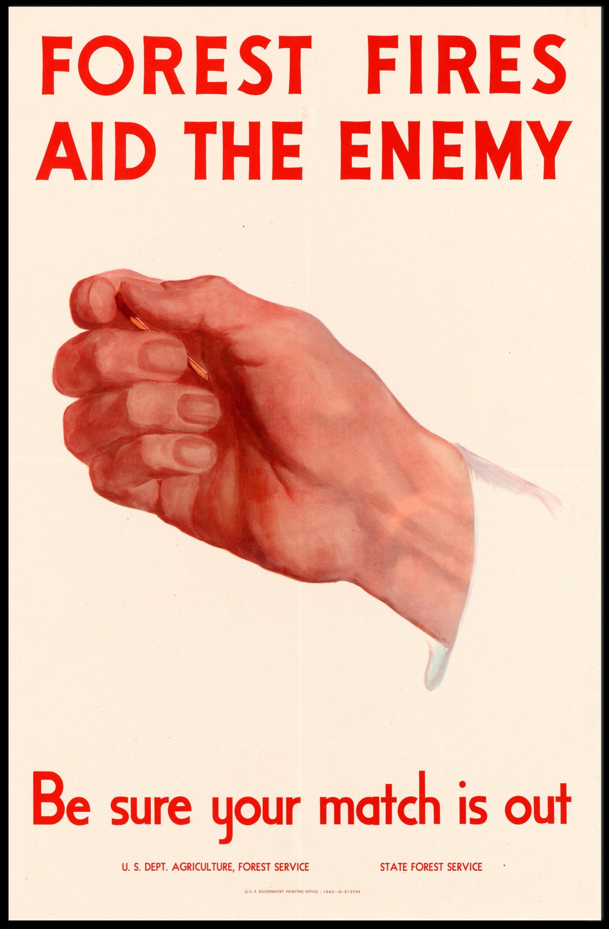 Forest Fire Prevention Warning Poster PosterGoat