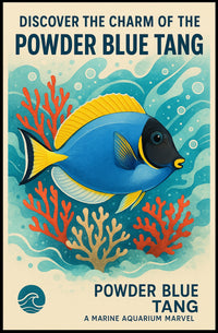 Discover the Charm of the Powder Blue Tang Poster
