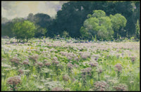 Serene Summer Meadow Poster