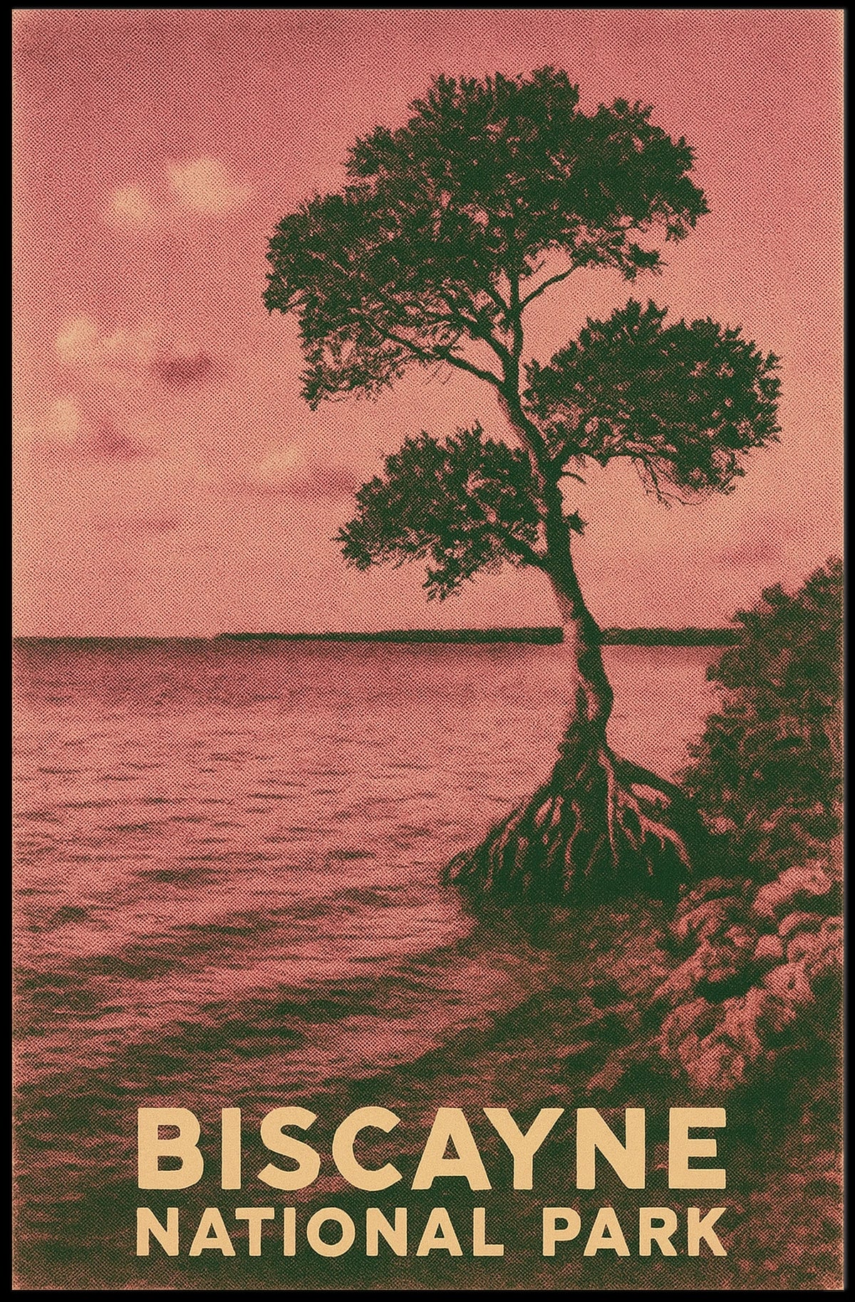 Biscayne National Park Poster