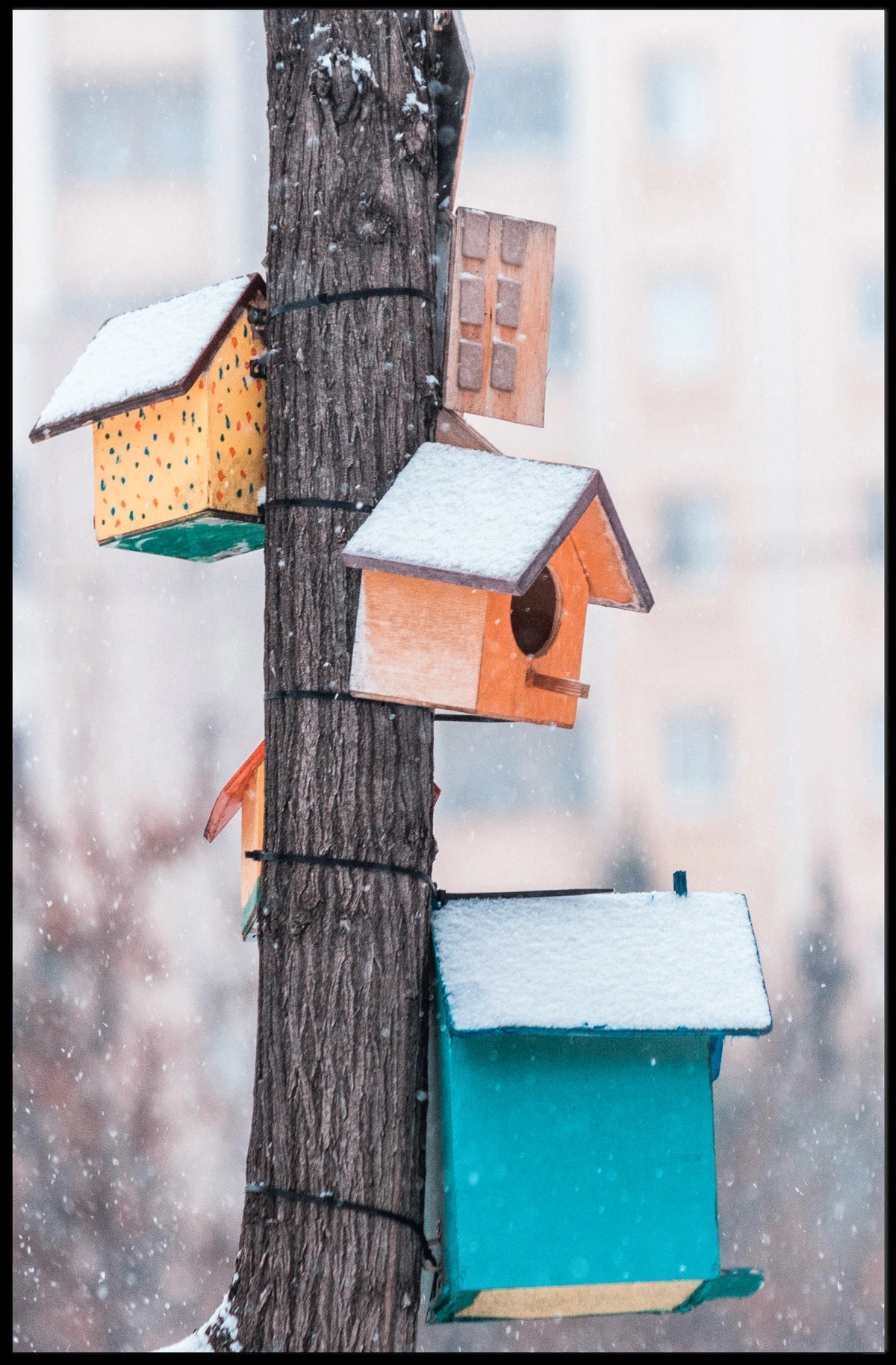Winter Birdhouses Poster