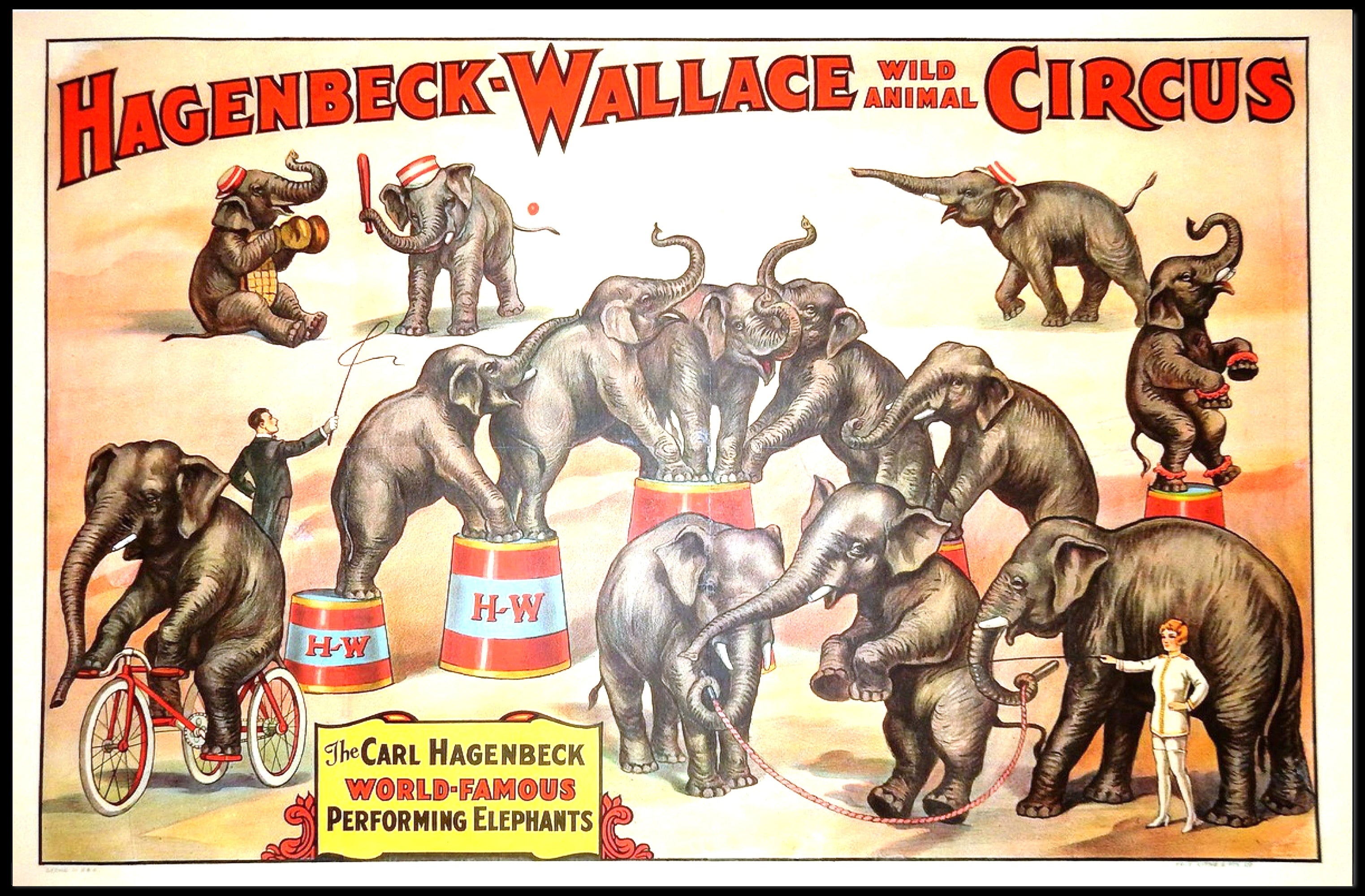 Hagenbeck-Wallace Wild Animal Circus Poster