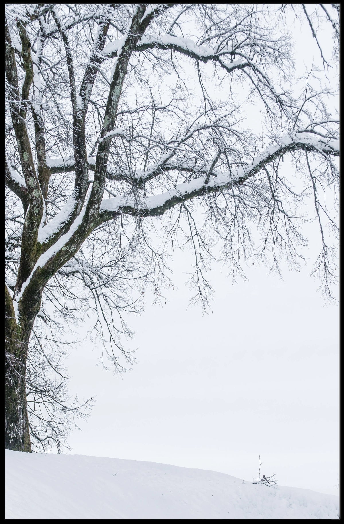 Winter Serenity Poster