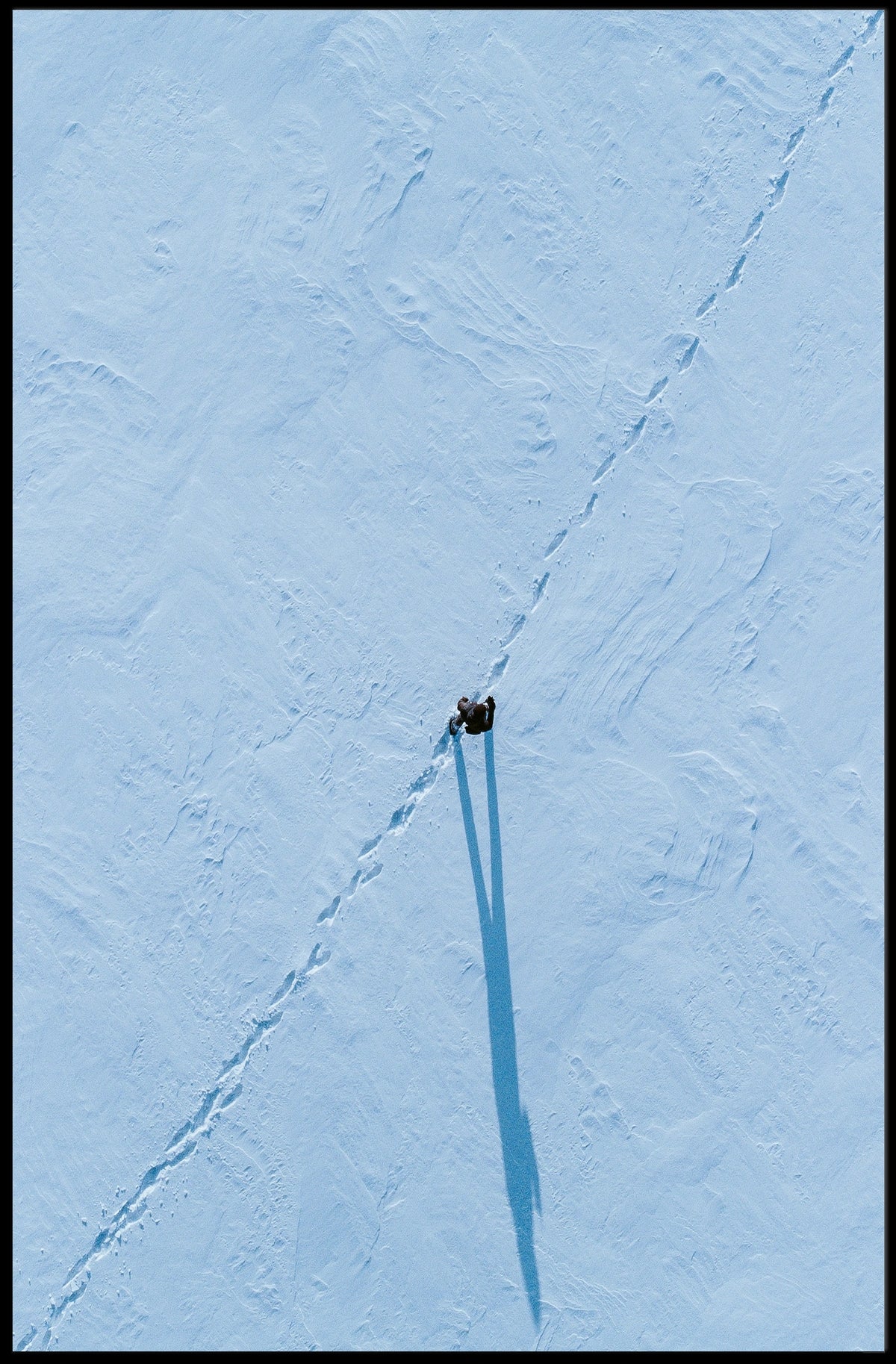 Solitary Path In Snow Poster