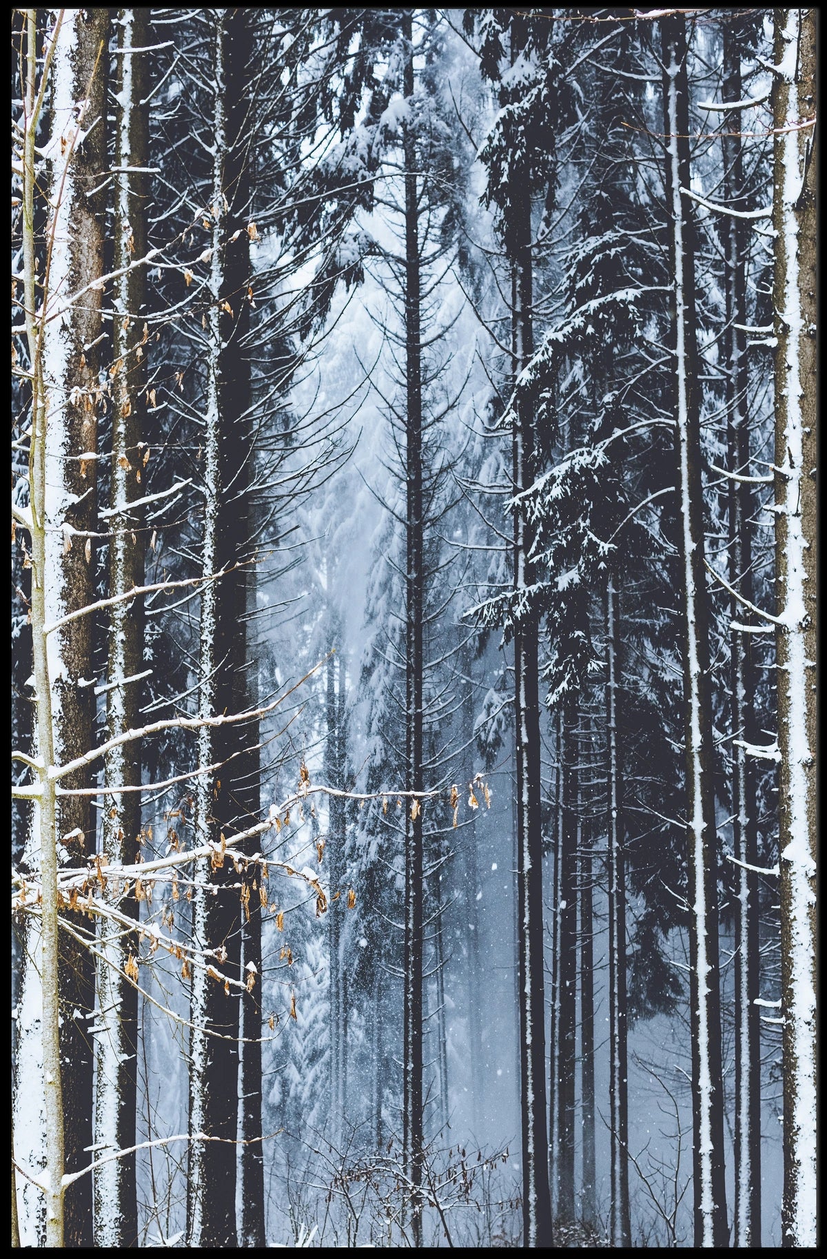 Winter Forest Serenity Poster