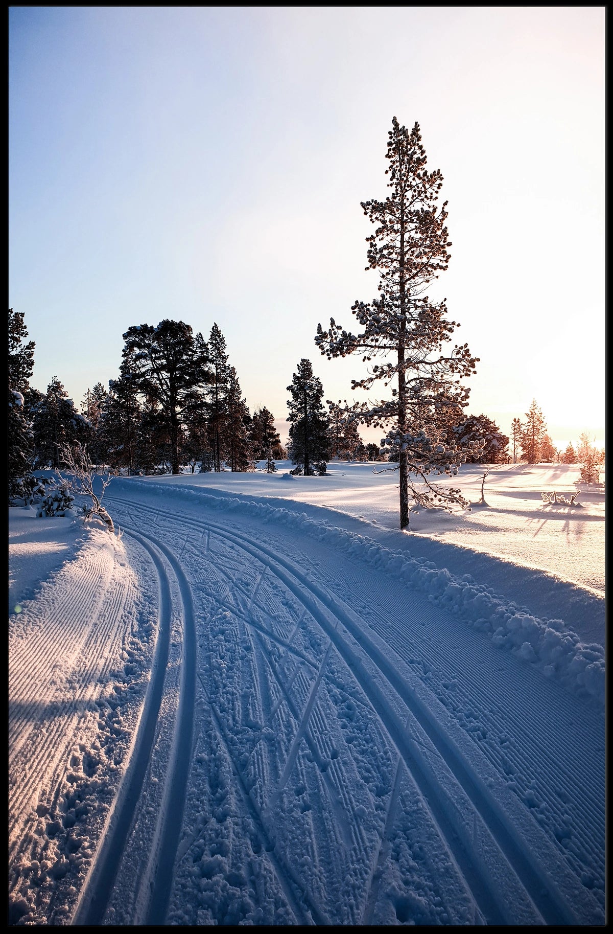 Winter Serenity Poster