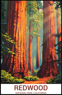 Redwood National Park: Majestic Giants Poster