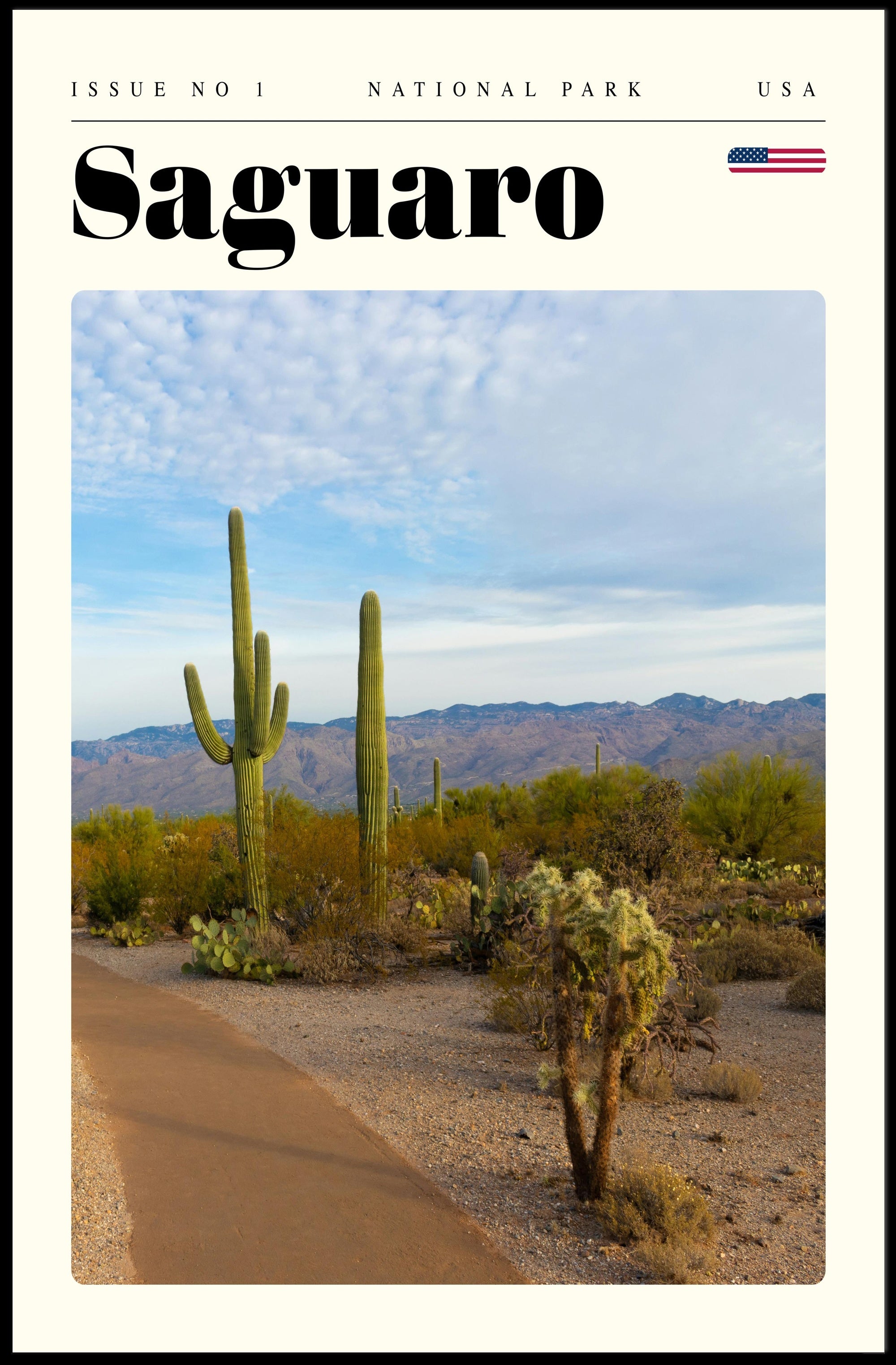 Saguaro National Park Poster Vintage Travel Print