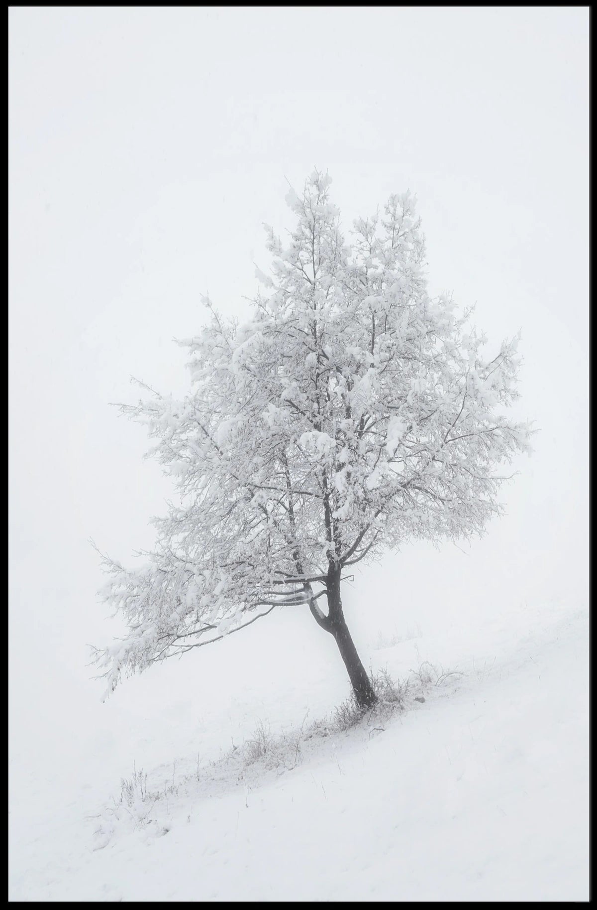 Winter Serenity: Minimalist Snowy Tree Artistic Poster
