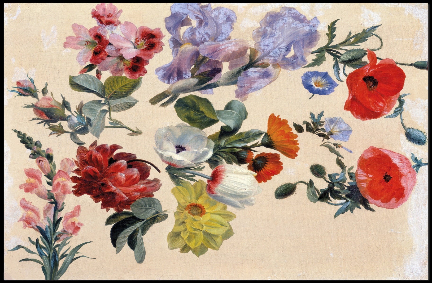 Elegant Floral Vintage Botanical Art Poster