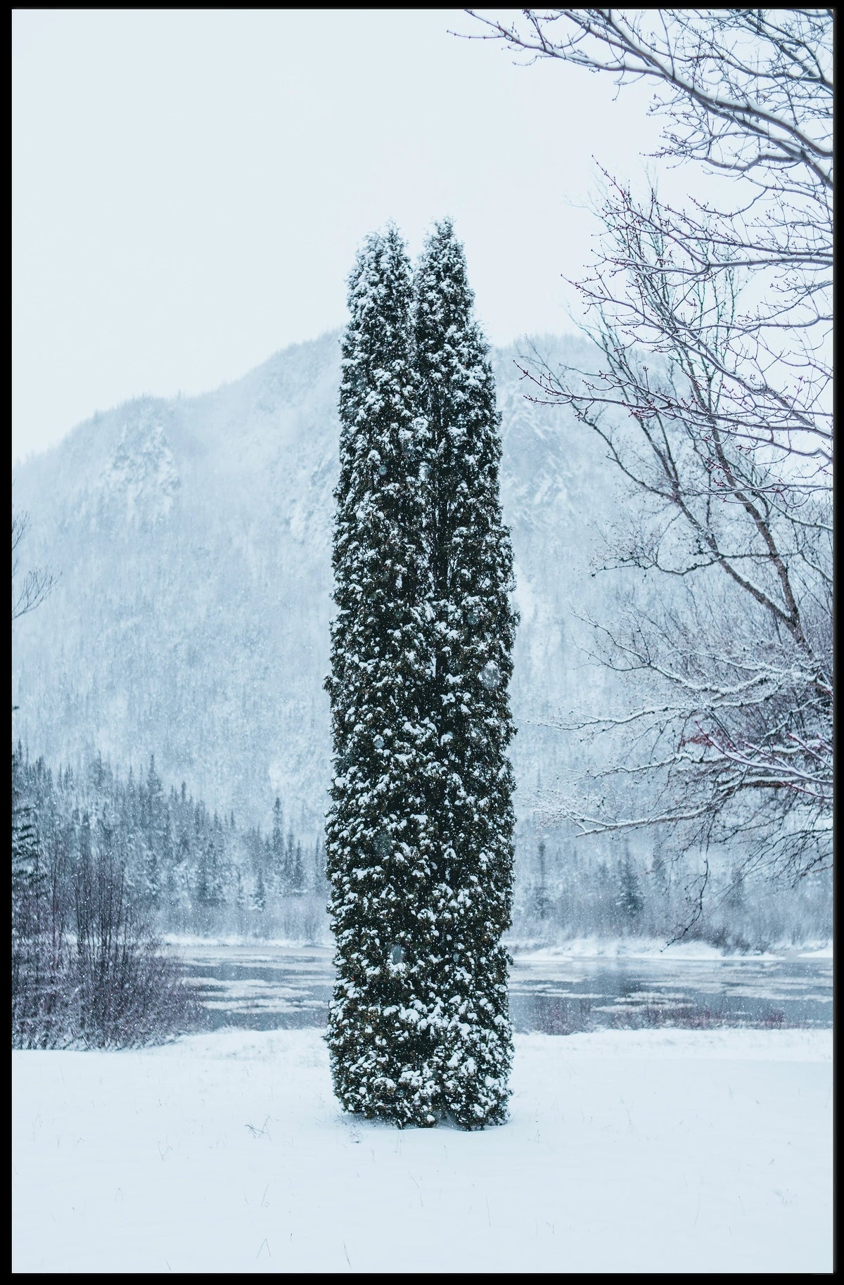 Winter Serenity Poster