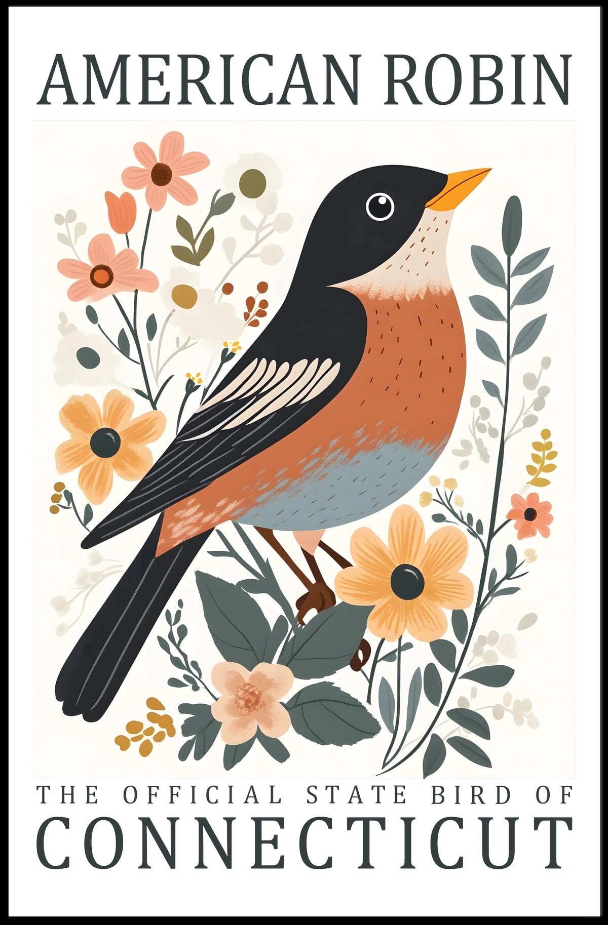 American Robin Connecticut State Bird Poster Art