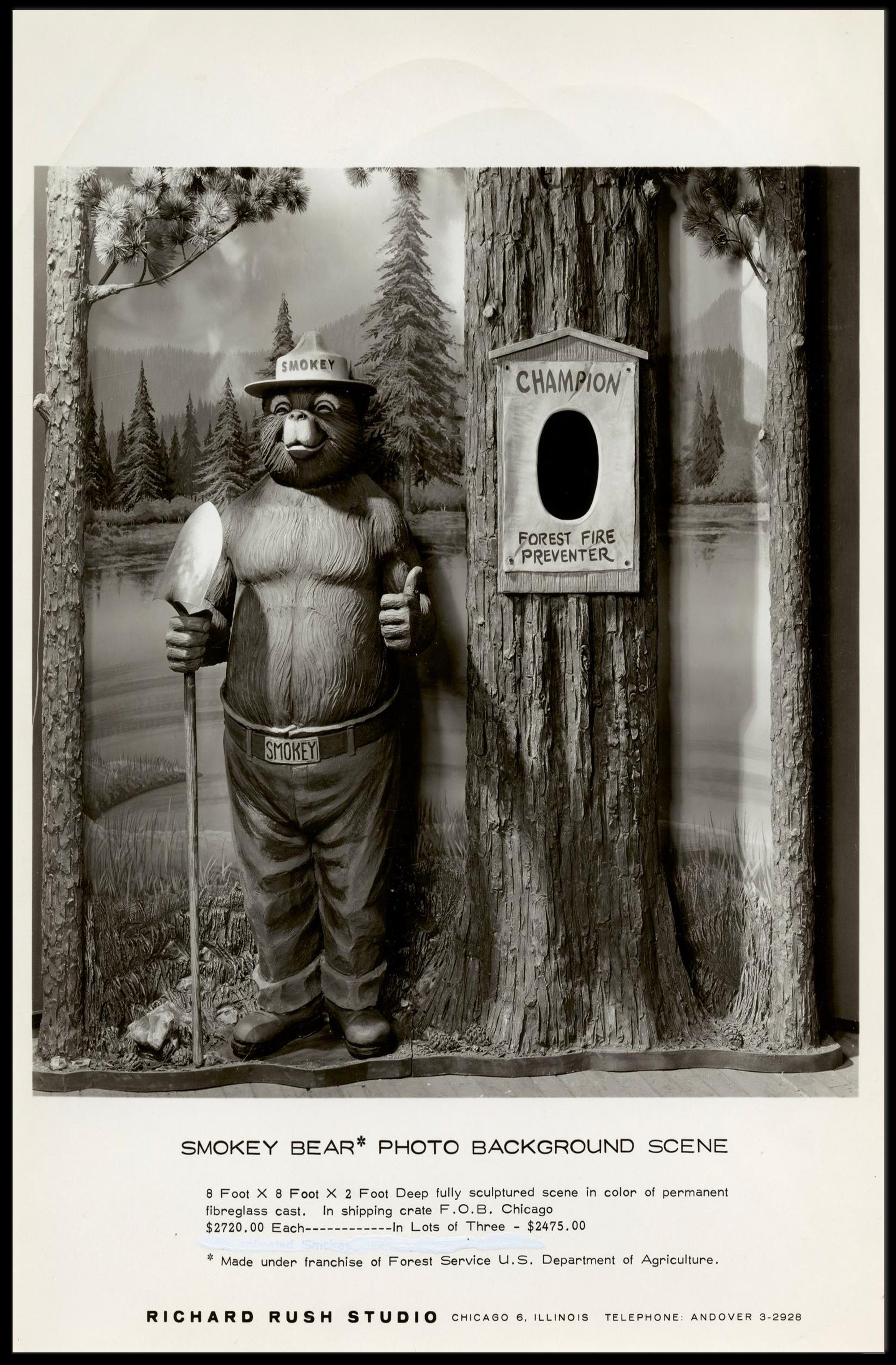 Smokey Bear Photo Background Scene Poster PosterGoat