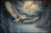 Majestic Night Flight Poster