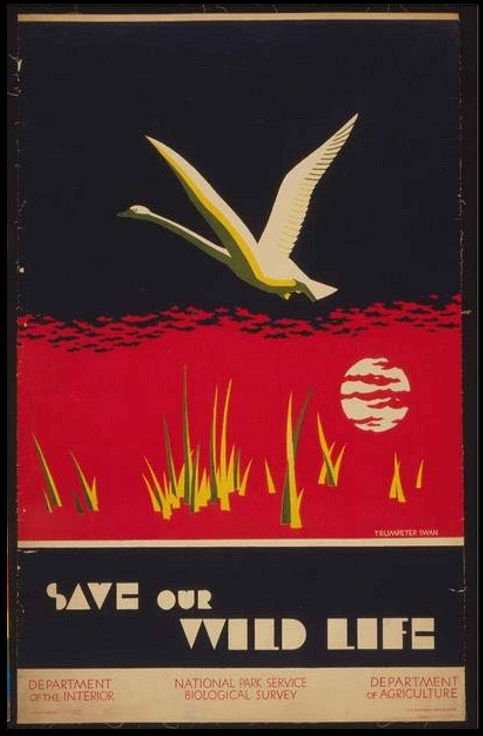 Save Our Wildlife Poster PosterGoat
