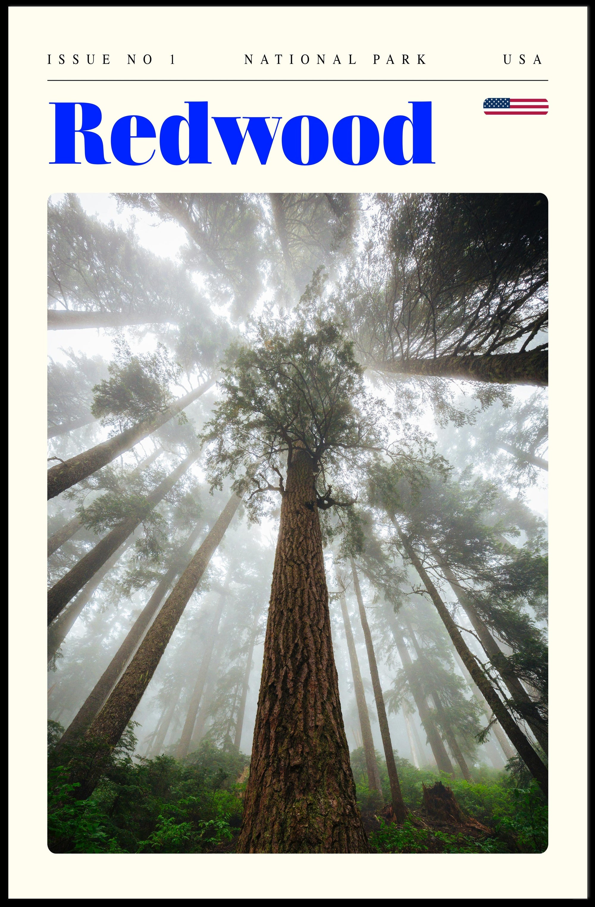 Redwood National Park Scenic Poster Wall Art Print