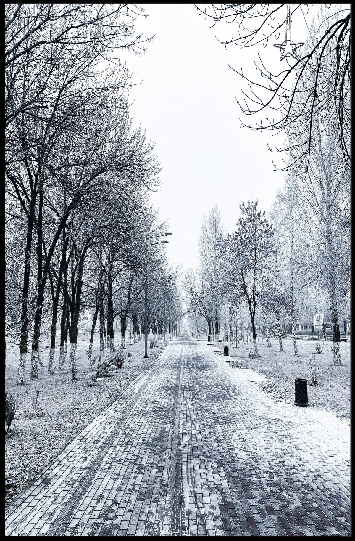 Winter Wonderland Pathway Poster