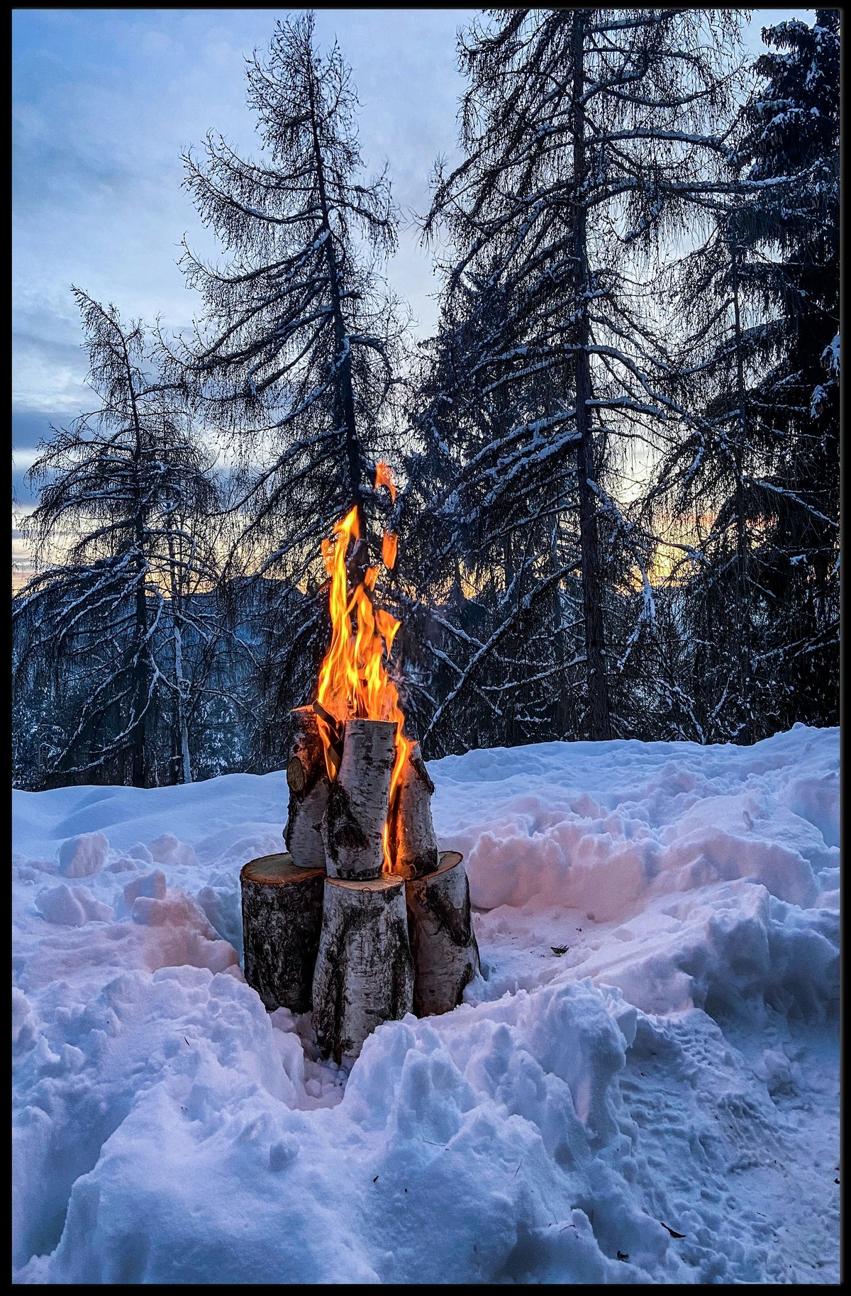 Winter Campfire In The Woods Poster