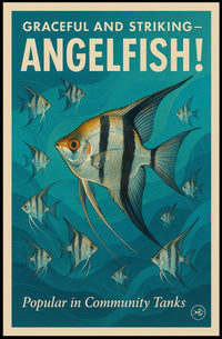 Graceful and Striking Angelfish Poster