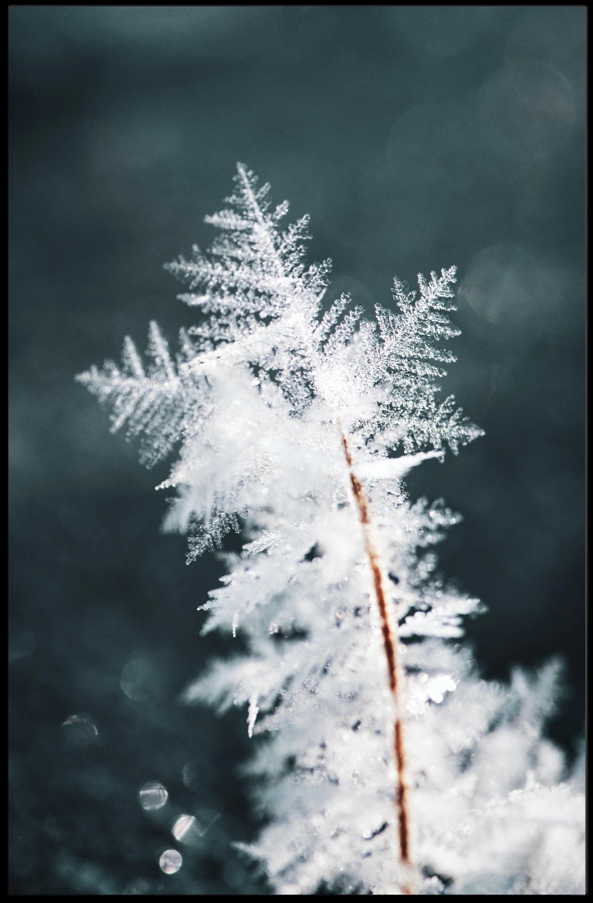 Intricate Ice Crystal Close-Up - Artistic Poster
