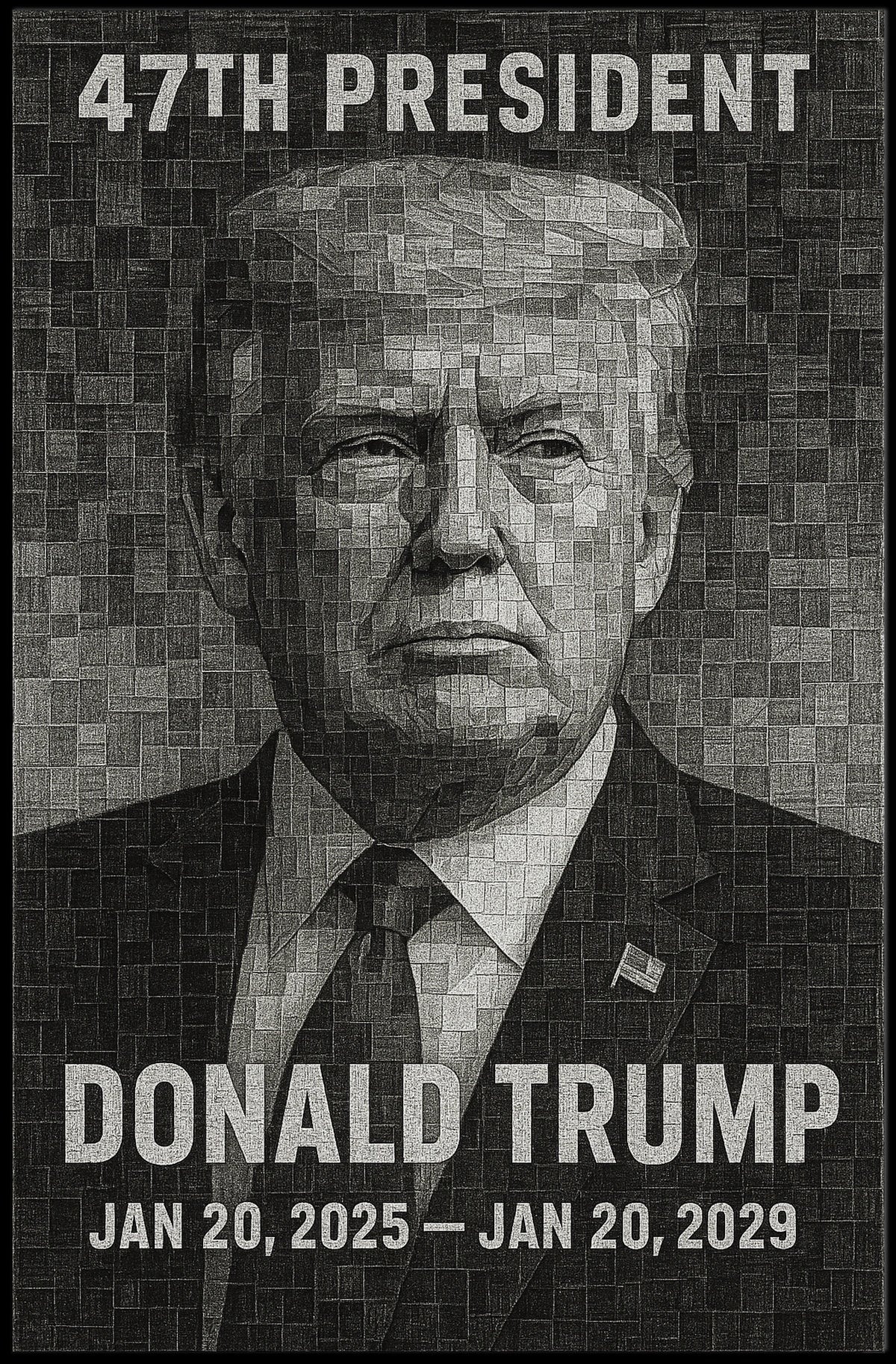 Donald Trump 47th President Poster