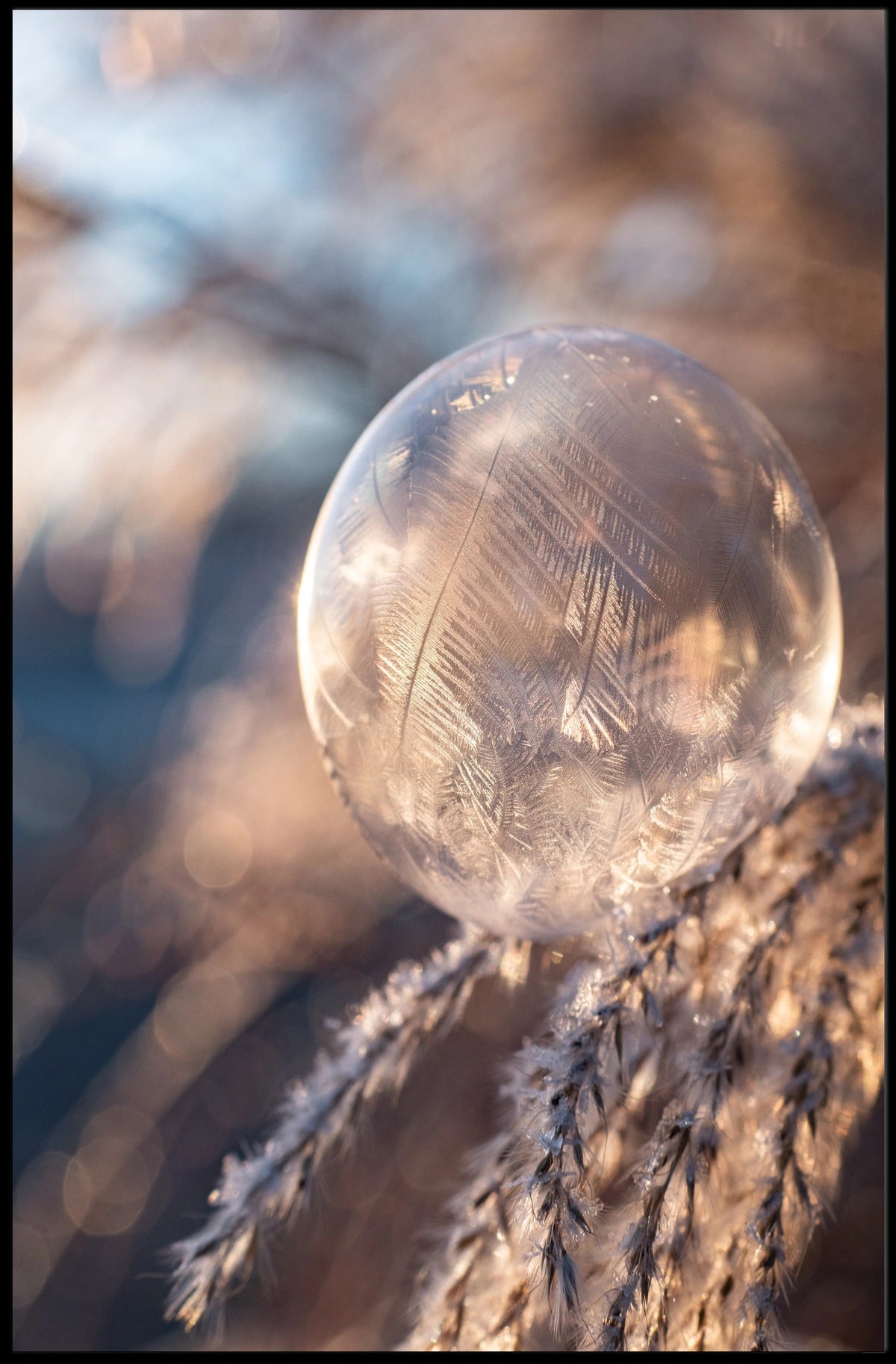 Frozen Bubble Sunrise: Abstract or Artistic Poster