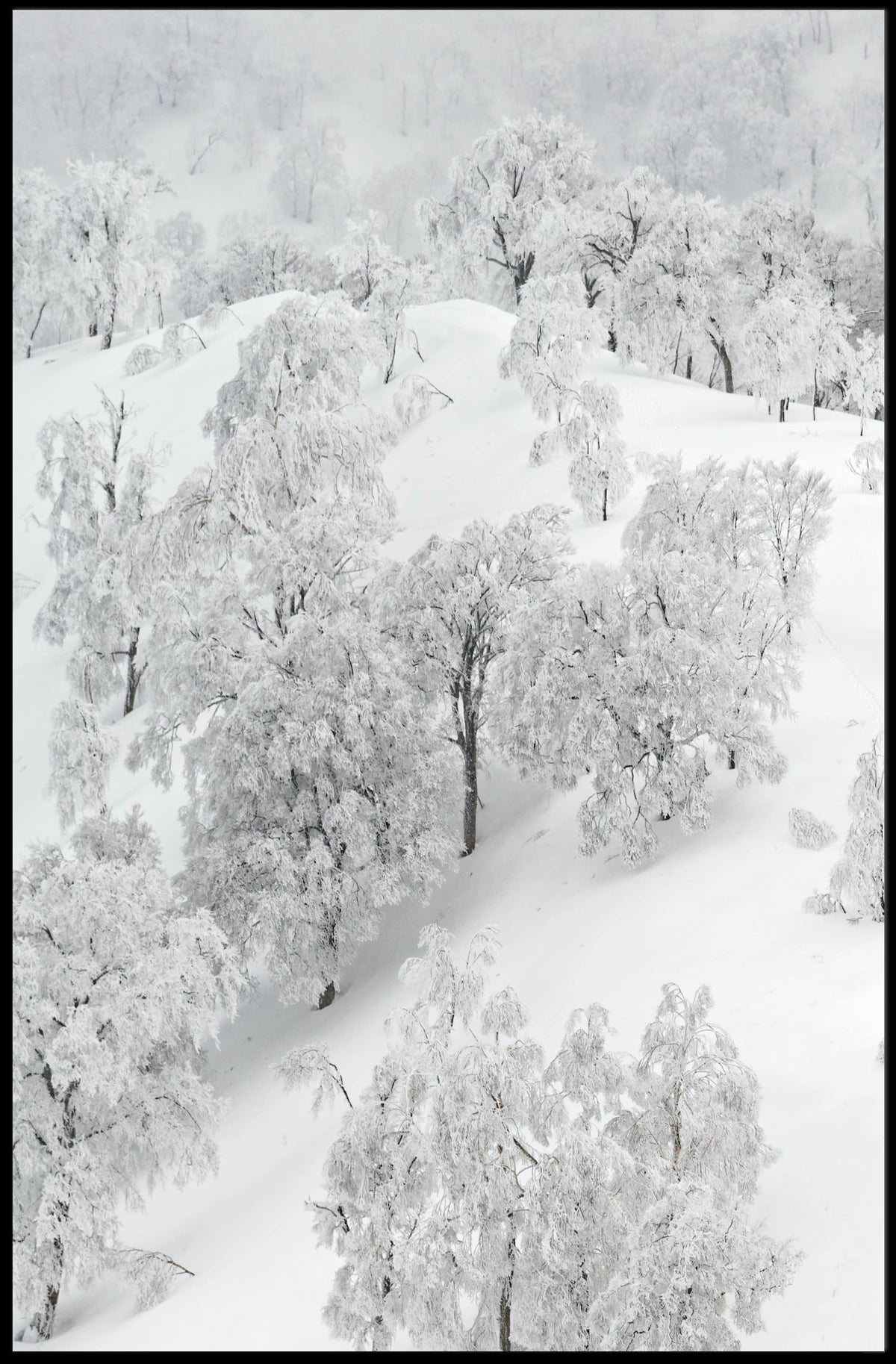 Serene Winter Wonderland Photorealistic National Park Poster