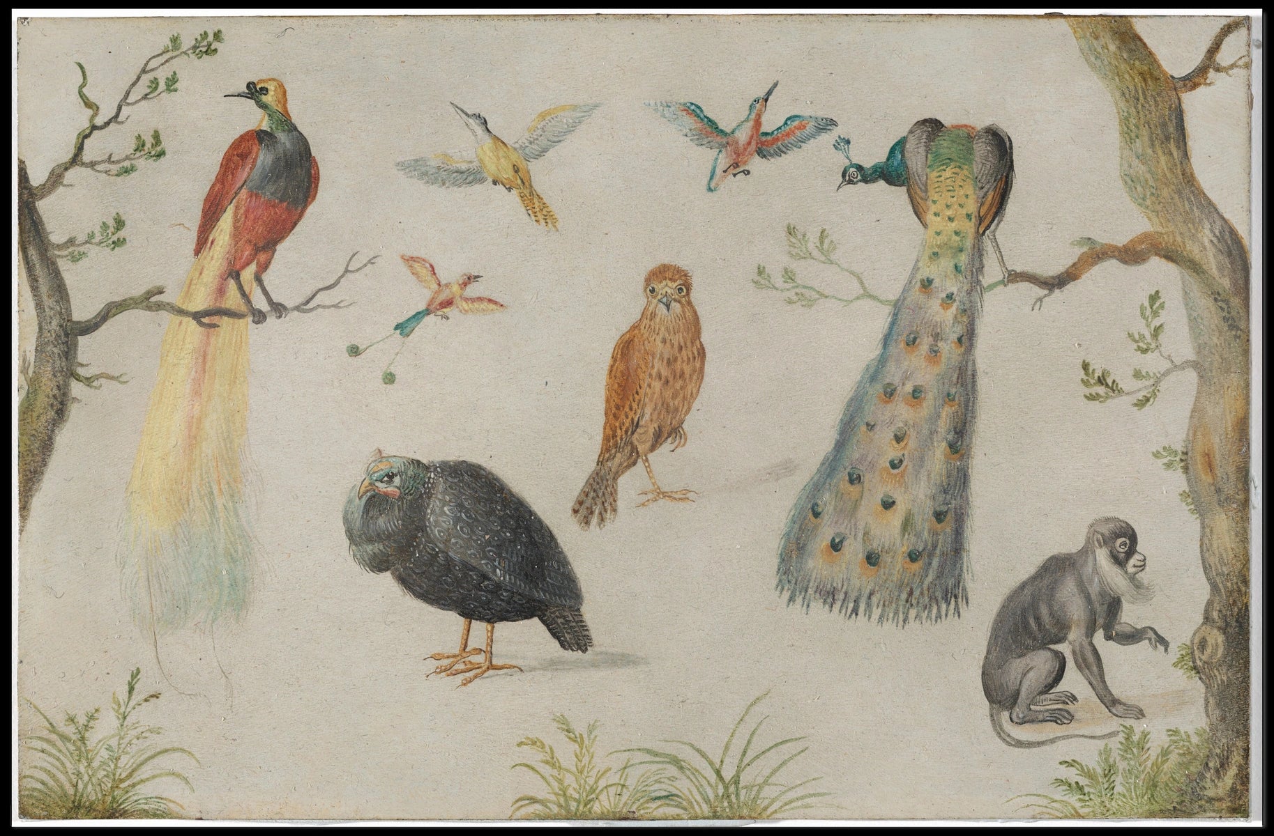 Exotic Wildlife in Vintage Illustration Animal Poster