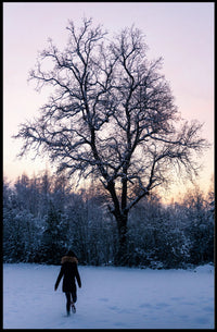 Winter Solitude Poster