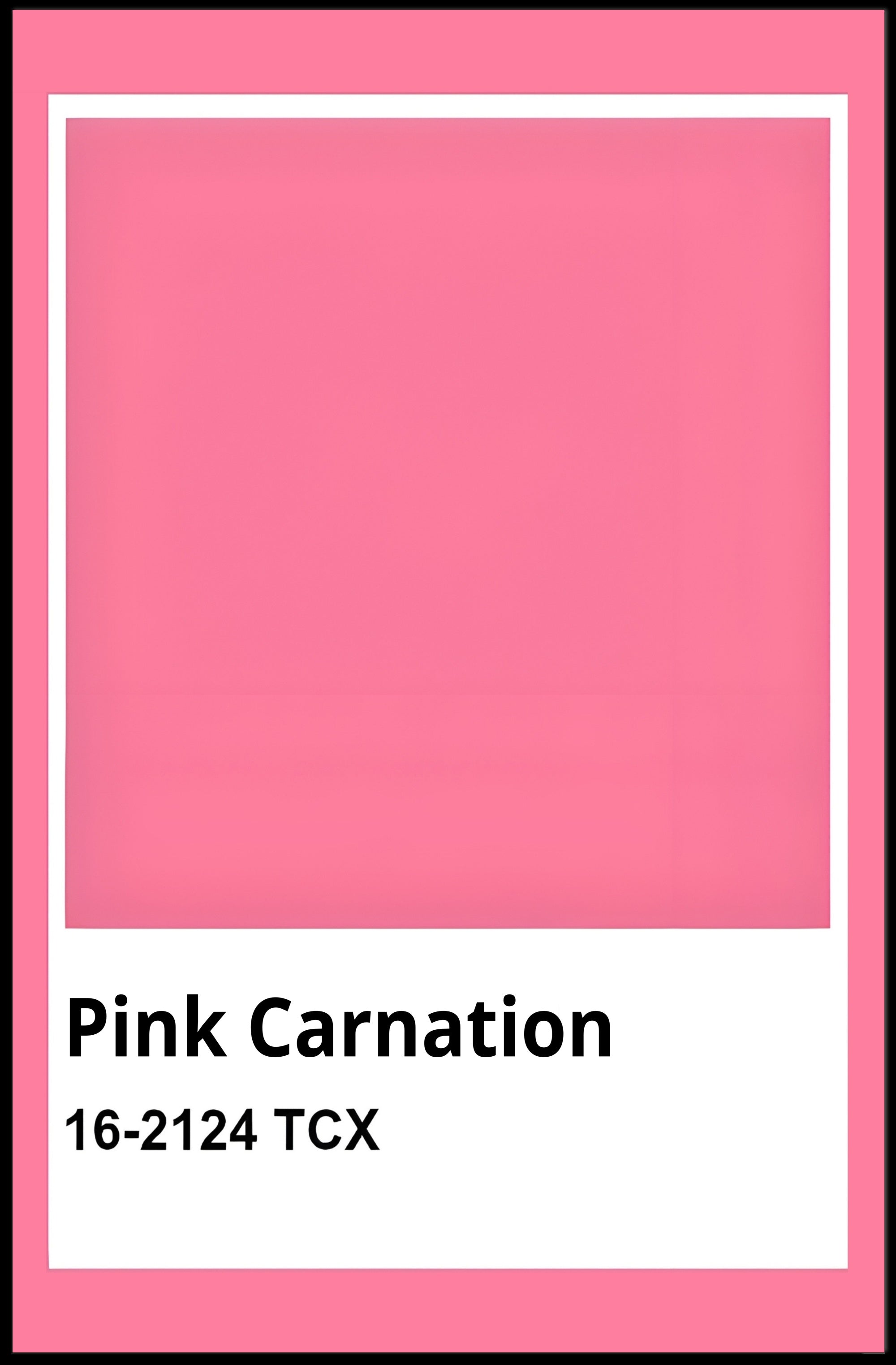 Pink Carnation Modern Color Palette Reference Poster PosterGoat
