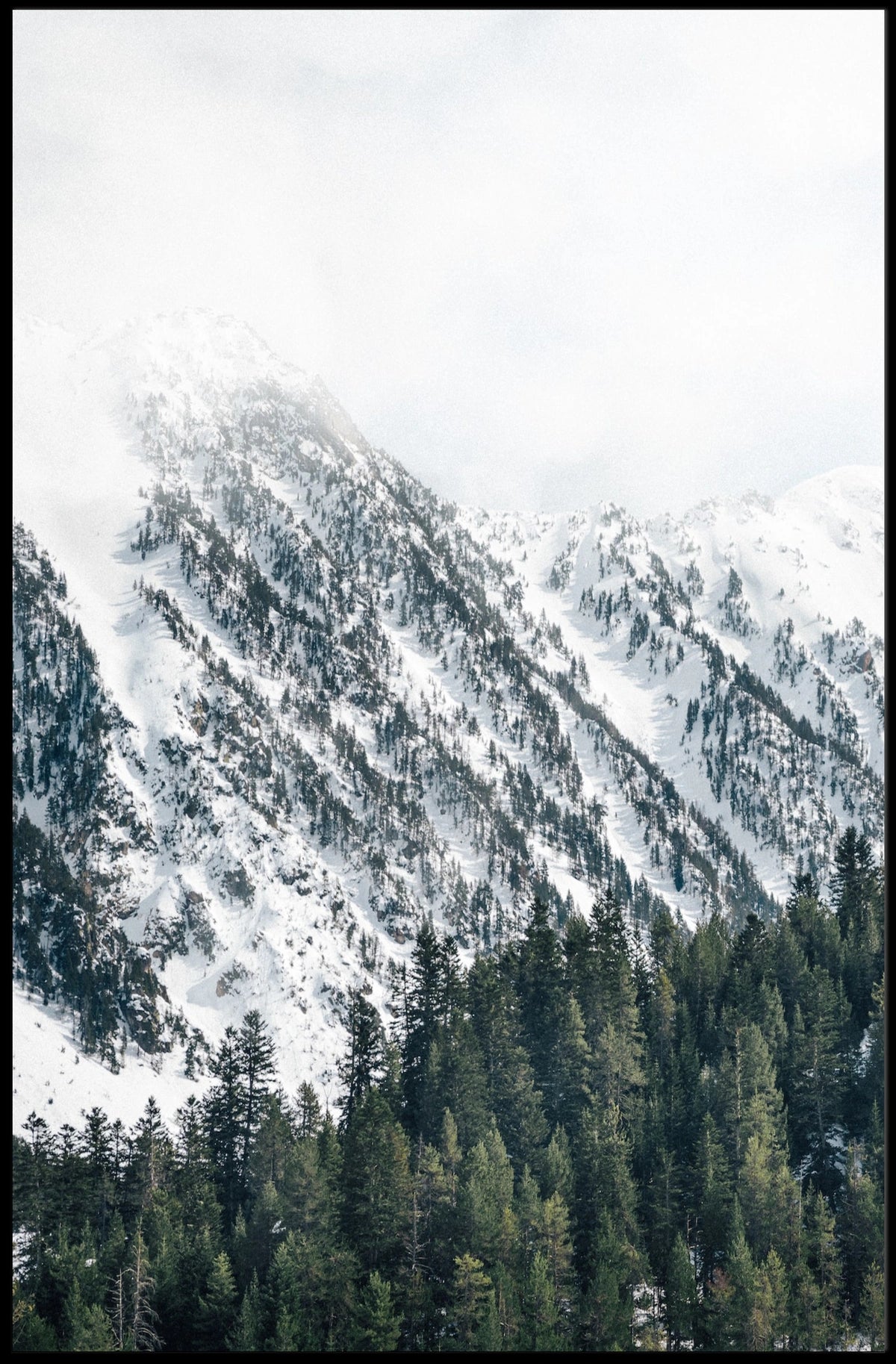 Serene Winter Landscape Photorealistic National Park Poster