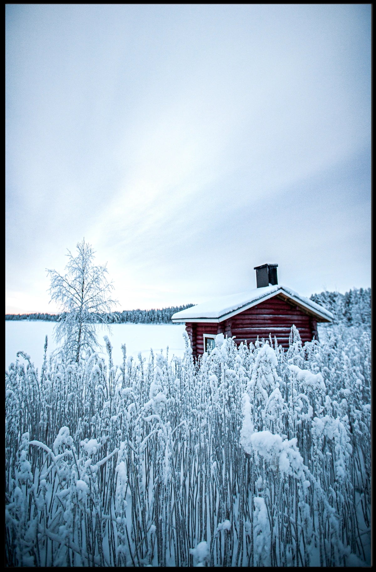 Winter Serenity Poster