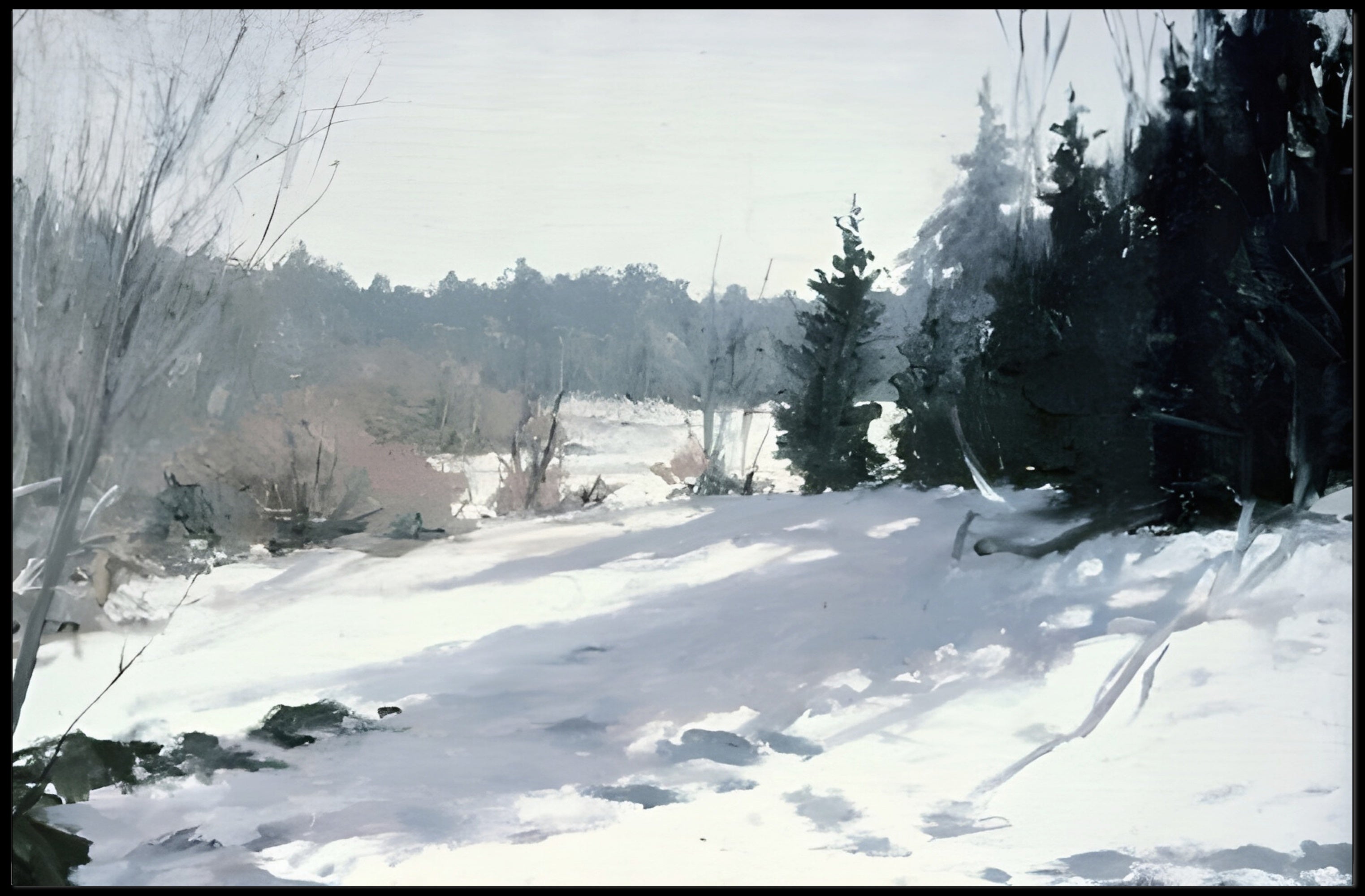 Winter Woodland Scene Poster